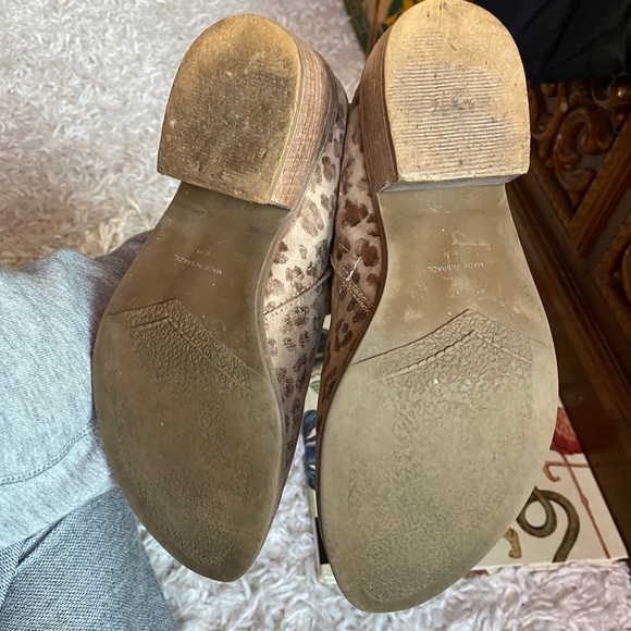 Matisse Wilder leopard print leather ankle boots - Picture 7 of 9